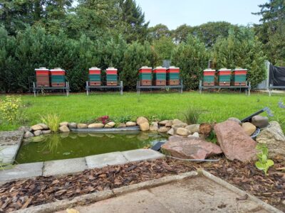 Sandwiesen-Imker (Volker Deutsch)