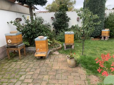 Biedenbach, Hobbyimkerei