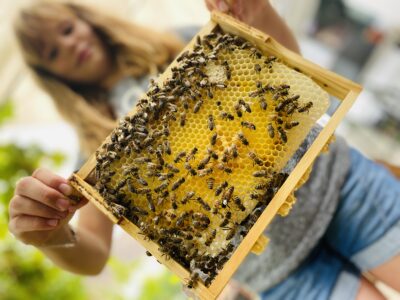 Imkerei zum fleißigen Bienchen