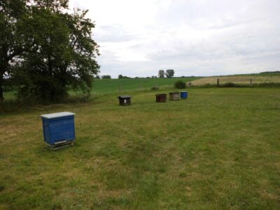 Imkerei zum Bienenkorb