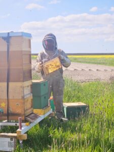 Nordsee-Imkerei-Claußen