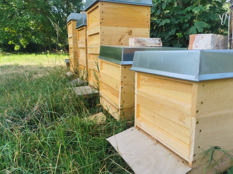 Imkerei Griesshammer