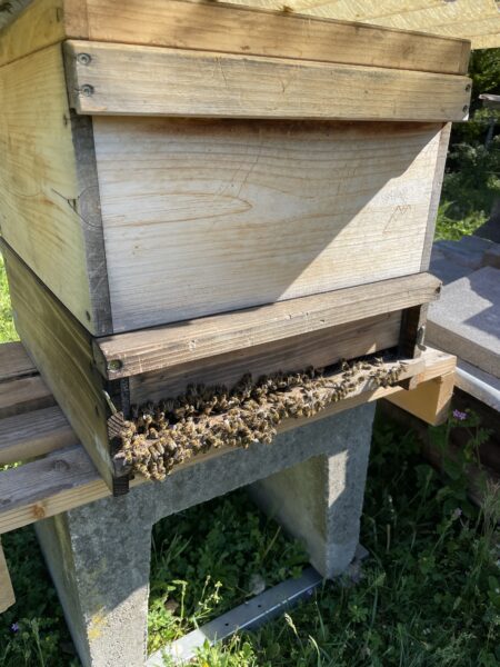 Welterbeimkerei Stefan Deuer