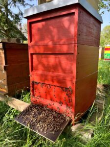 Imkerei Flörchinger