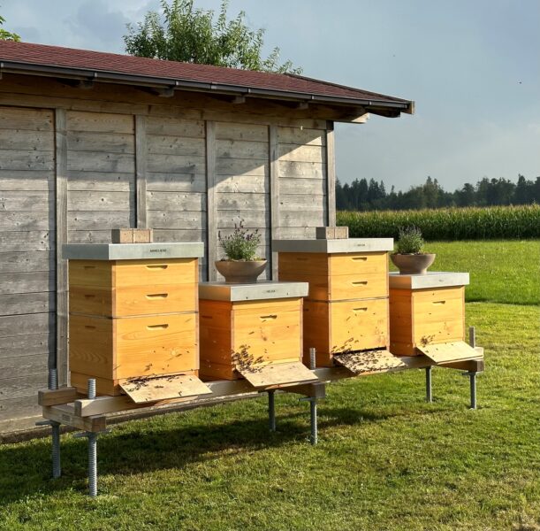 SCHWARZWALD BIENEN
