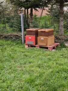 Kleine Imkerei am Odenberg