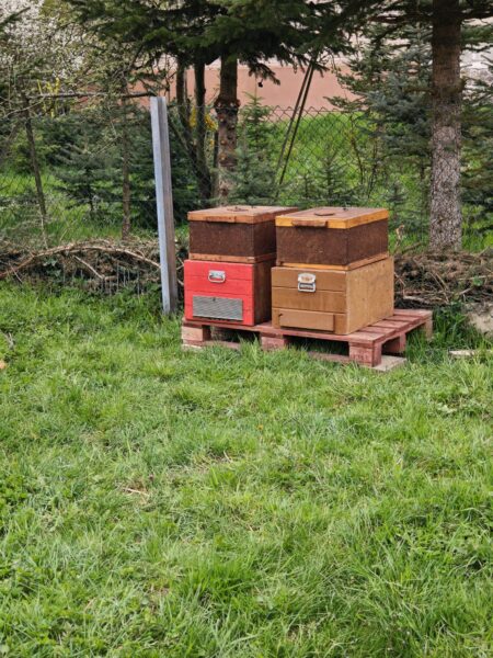 Kleine Imkerei am Odenberg