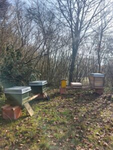 Regensburger Honigtopf