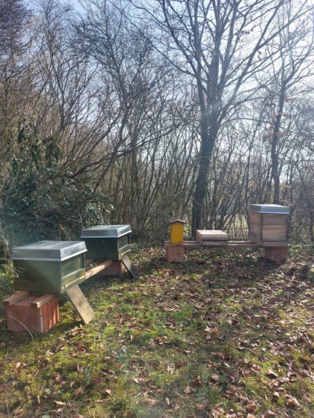 Regensburger Honigtopf