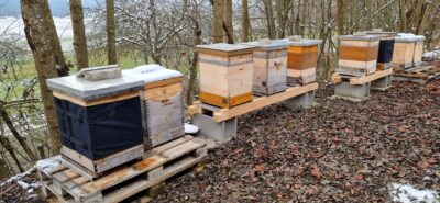 Imkerei Thomas Hedenig