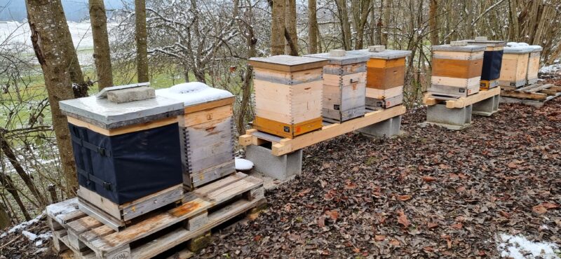 Imkerei Thomas Hedenig