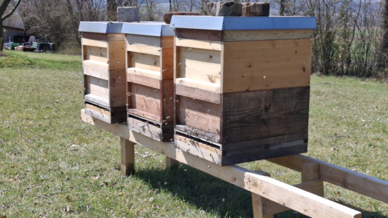 Imkerei Haase & Thiele