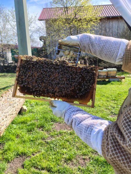 Fischerverein Hohenaltheim e.V.