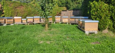 Imkergarten Delitzsch