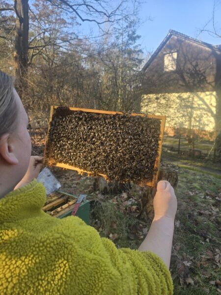 Imkerei Schreiber Zossen