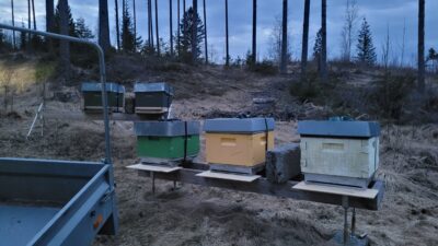 Solheim Honning Gerbershagen