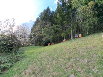 Imkerei Firebee - Roland Zenz