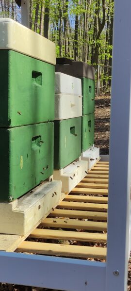 Fischbachtaler Bienen