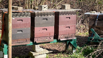 Imkerei Alexandra & Jan-Erik Jung