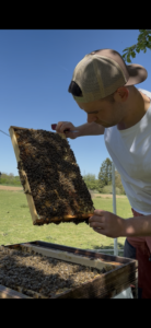 Basti‘s Bienenbande