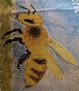 Familienimkerei Gabloffsky