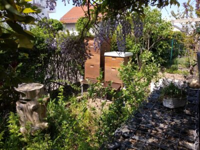 Raunheimer Honigmanufaktur