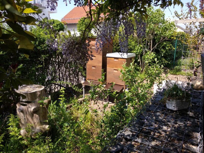 Raunheimer Honigmanufaktur