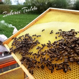 Imkerei Trolda