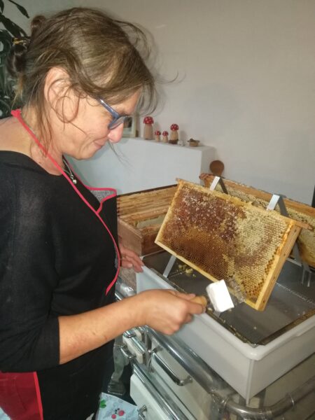 Rothenbach / Breitbach