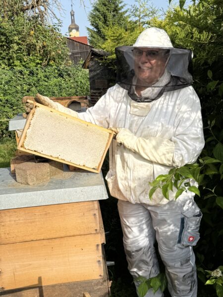 SaBines Bienen