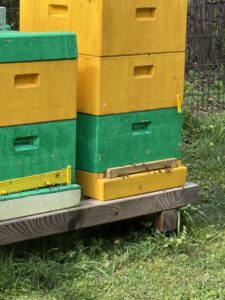 Le Girls Girls Girls