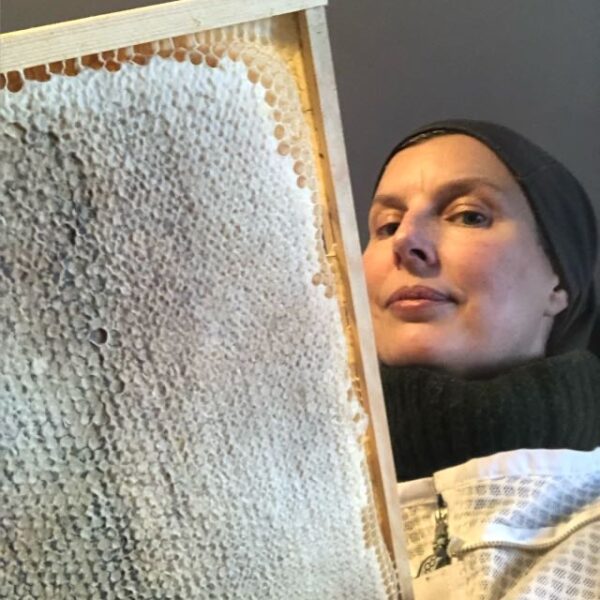 Magic Hill Honey