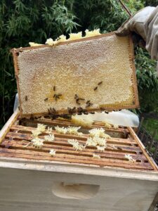 Imker Andreas Wagner