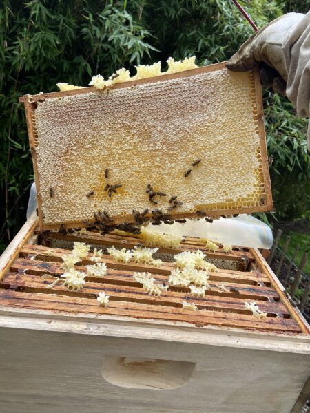 Imker Andreas Wagner