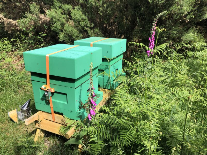 Magic Hill Honey