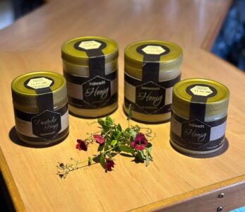 Imkerei Saus und Braus