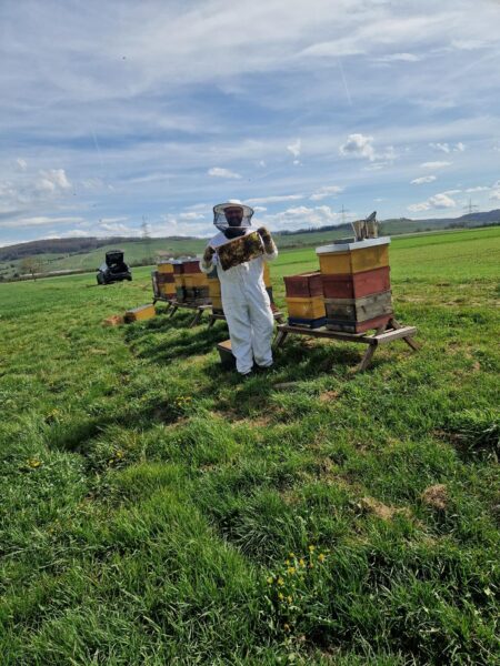 Imkerei Dr. Marc Mudrak