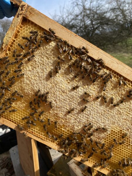 Imkerei Sabine Janson