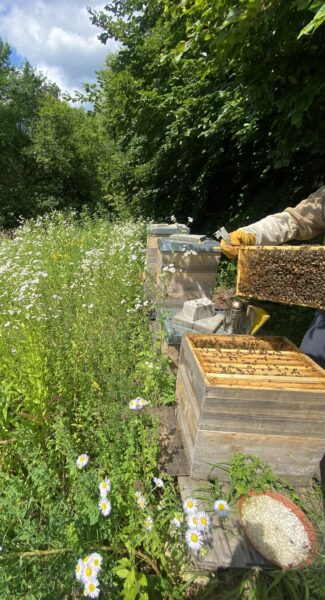 Imkerei Sabine Janson