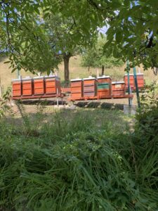 Imkerei Willi Räcker