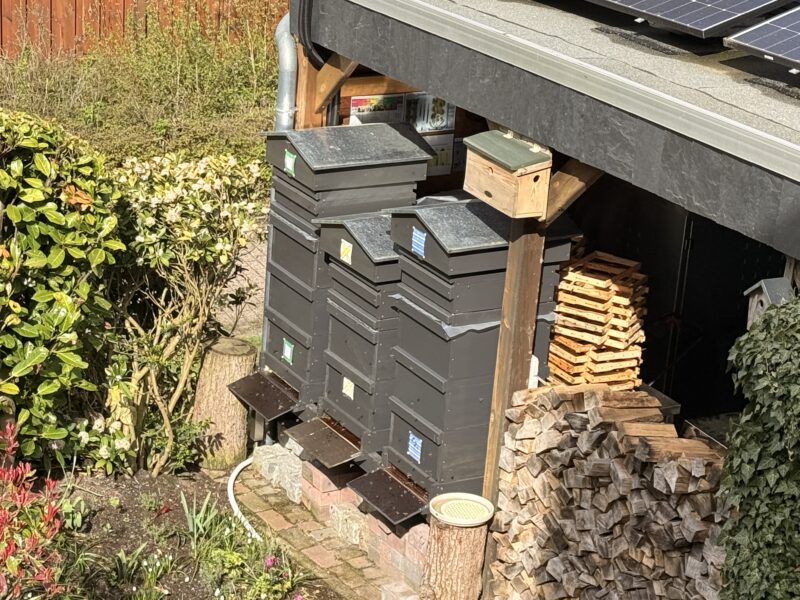 Hobbyimkerei Dr. Kruse