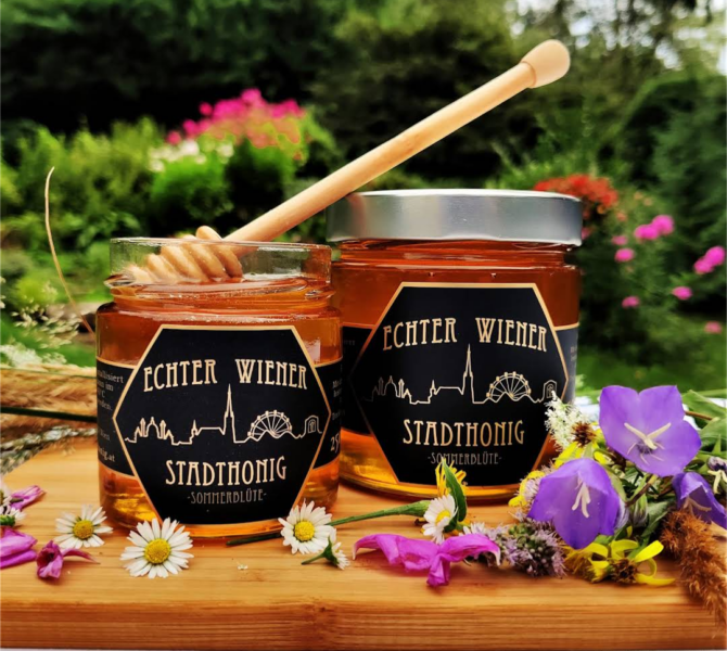 Echter-Wiener&Stadthonig