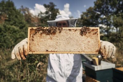 HonigMacher.at – Simon Tötschinger