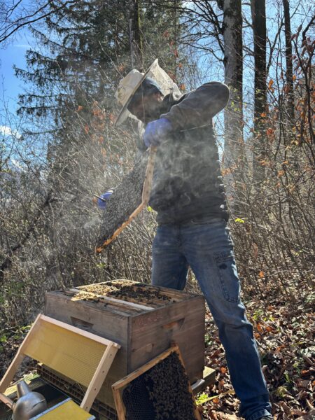 Schellenberger Bienenwerkstatt